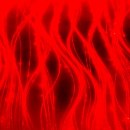 ORGANZA BLACK FABRIC (LUMINOUS FIBER OPTIC FABRIC)